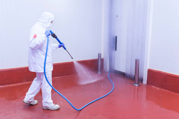Professional Pressure Washing Services in Darby, PA